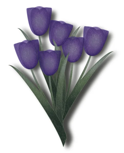 Grunge 紫色郁金香 — 图库照片