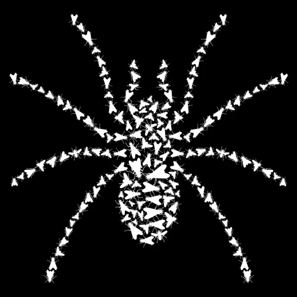 Ragno insetto — Vettoriale Stock