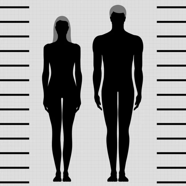 Erkek ve dişi vücut şablonları — Stok Vektör