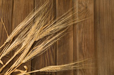 Wheat Ears clipart