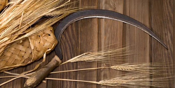 Tallos de trigo —  Fotos de Stock