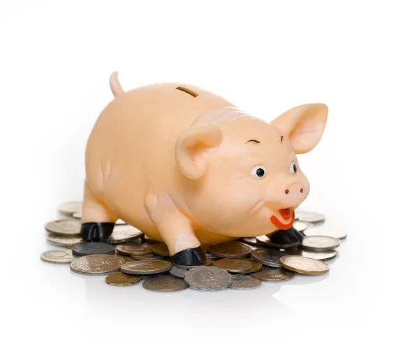 Greedy piggy bank — Stock Photo, Image
