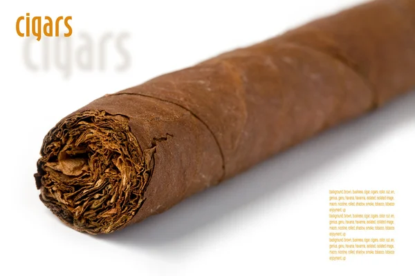 Cigarer - Stock-foto