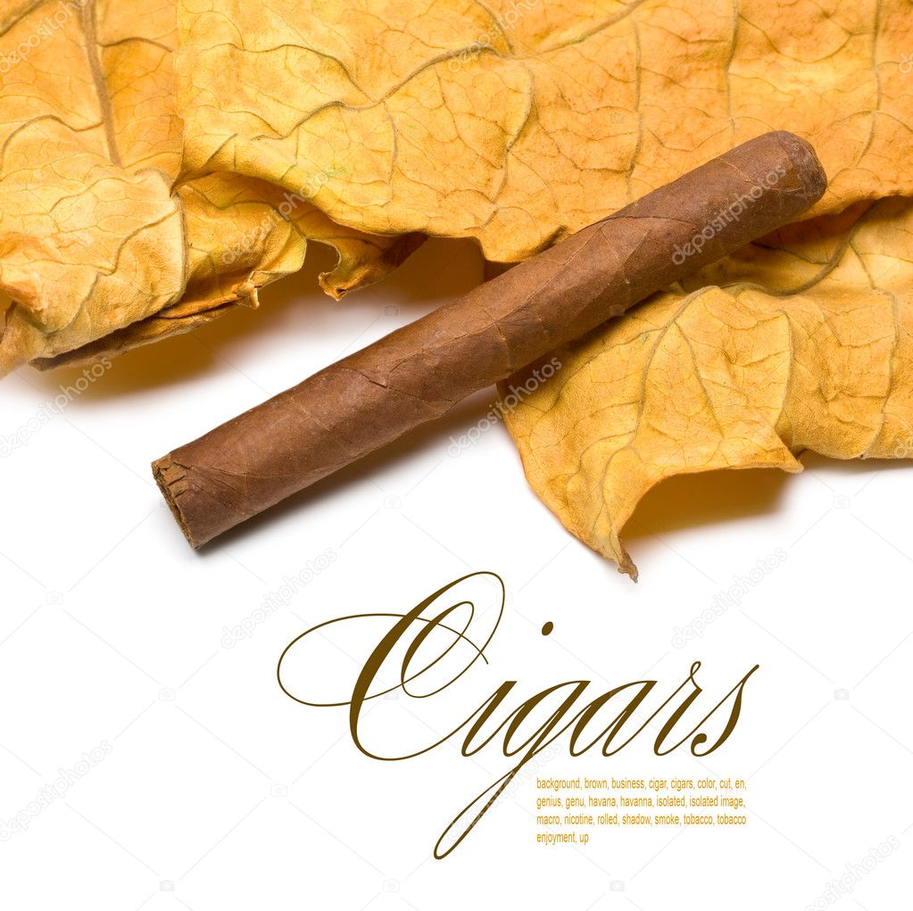 Cigar and leaf