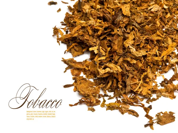 Tabaco — Foto de Stock