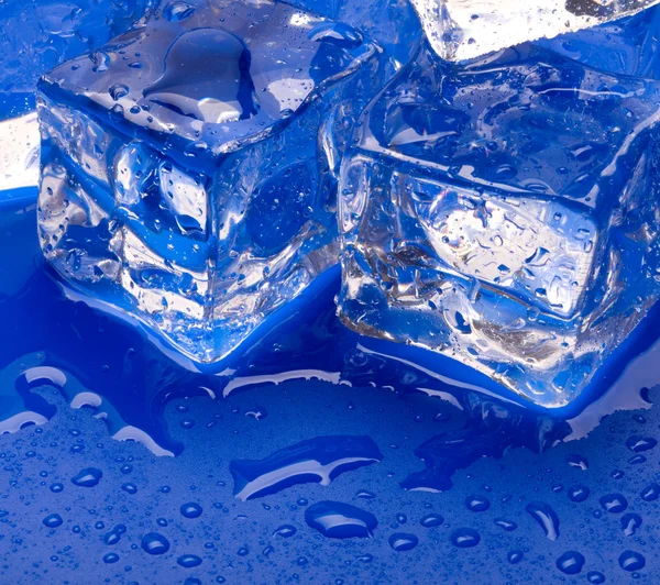 Thawing cubes — Stock Photo, Image