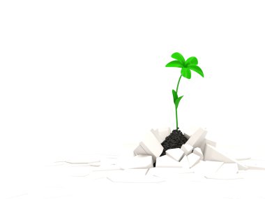 Abstract illustration of Fresh Green Plant Growing Through Crack clipart