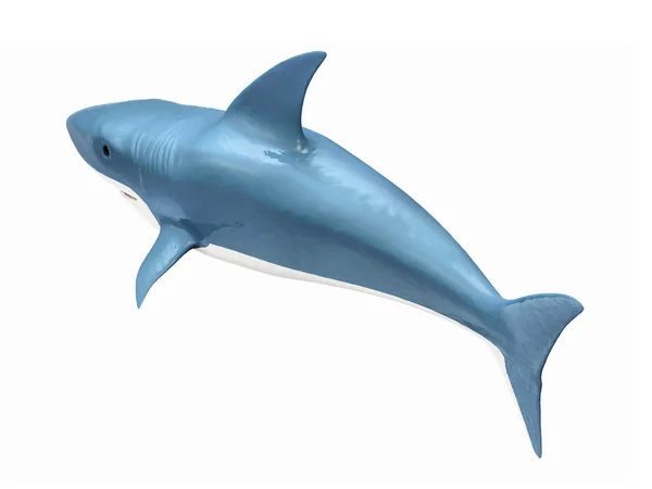 Tiburón 3d aislado sobre fondo blanco —  Fotos de Stock