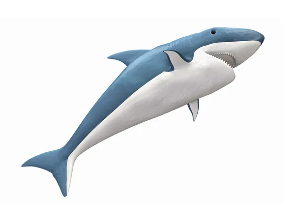 Beyaz arka plan üzerinde izole 3d köpek balığı — Stok fotoğraf