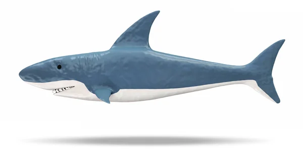 Shark 3D na białym tle na białym tle (widok z przodu) — Zdjęcie stockowe