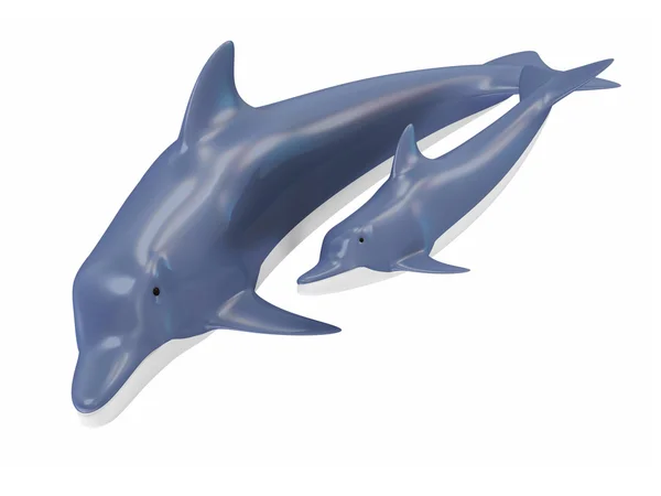 Dois lindo golfinho isolado no fundo branco — Fotografia de Stock