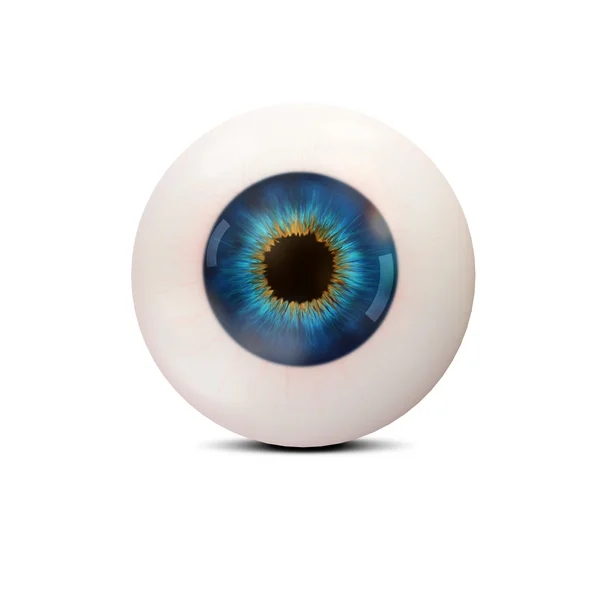 Людське око на білому тлі — стокове фото
