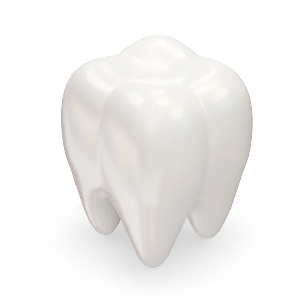 白い背景の上の健康の歯 — ストック写真