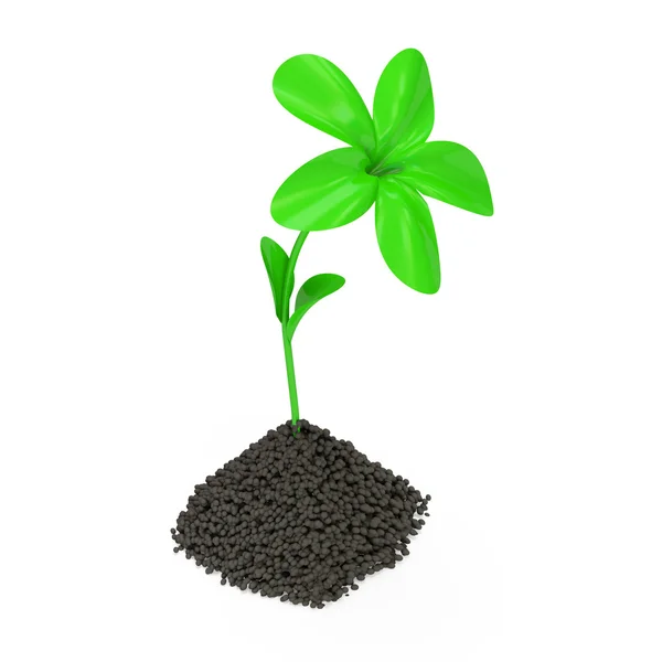 Fresh Green Plant Growing in Soil — Stock Photo, Image