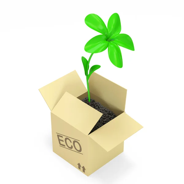 Fresh Green Plant growing out of the carton box — Stock Photo, Image