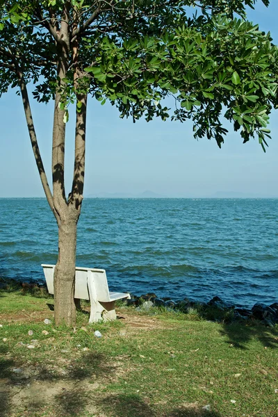 Скамейка у озера — стоковое фото