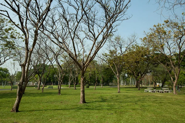 Parco verde — Foto Stock