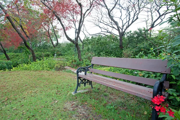 Panca in parco con albero di fiori rossi — Foto Stock