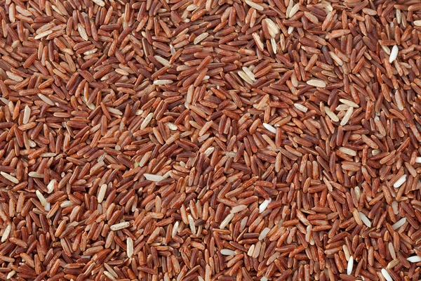 Red rice background — Stock Photo, Image