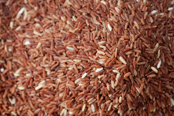 Bruine rijst — Stockfoto