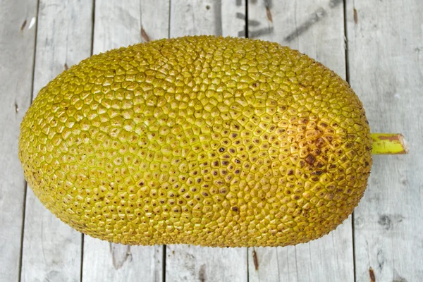 Giant Jackfruit — Stock Photo, Image