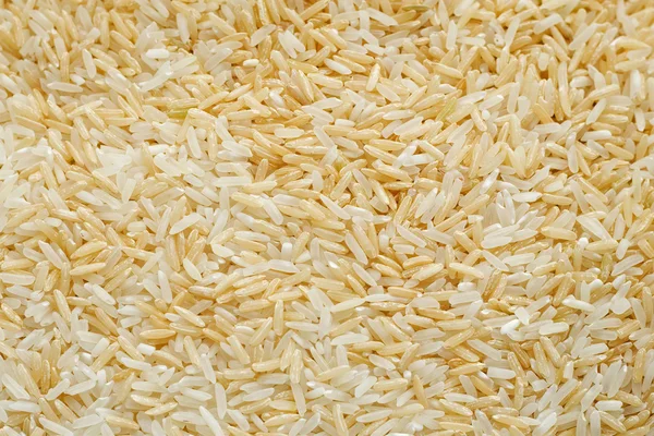 Reis hintergrund — Stockfoto