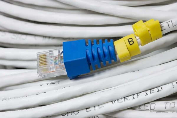 LAN kablosu — Stok fotoğraf