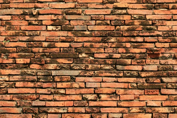 Кирпичные стены — стоковое фото