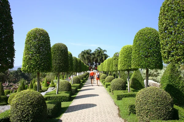 열 대 정원 — 스톡 사진