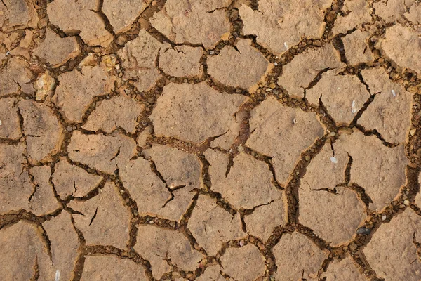 stock image Cracked Ground