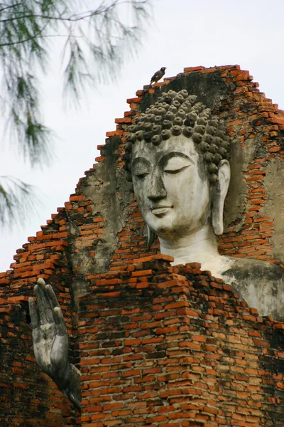 Buddha Face, Tailândia — Fotografia de Stock