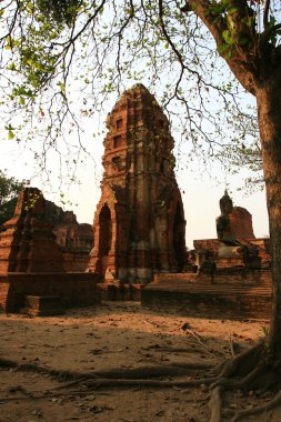 Tay pagoda