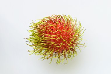 taylandlı rambutans