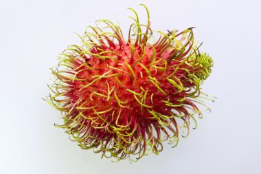 taylandlı rambutans