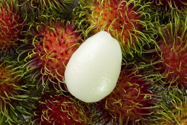 taylandlı rambutans