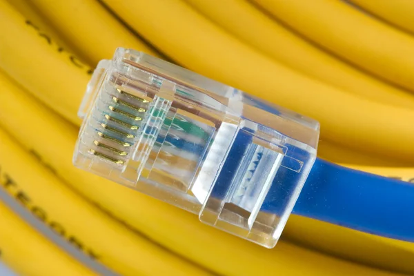 Kabel sieci LAN — Zdjęcie stockowe