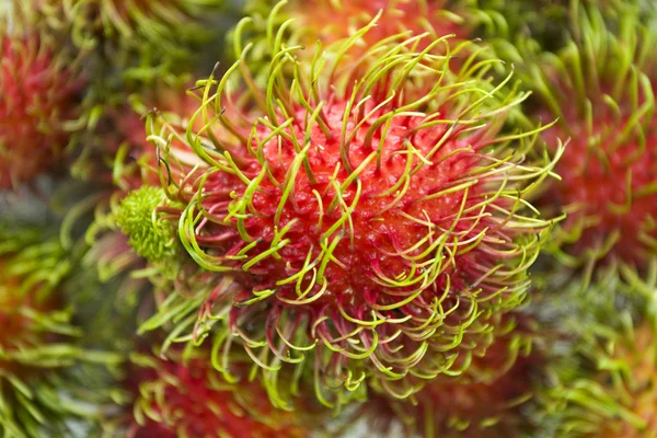 stock image Thai Rambutans