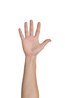 Five fingers of female hand clipart