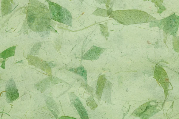 stock image Dry leaf paper texture