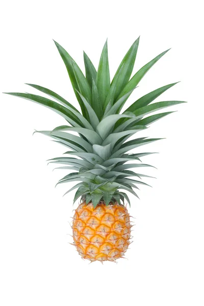 A fresh pineapple — Stock Photo, Image