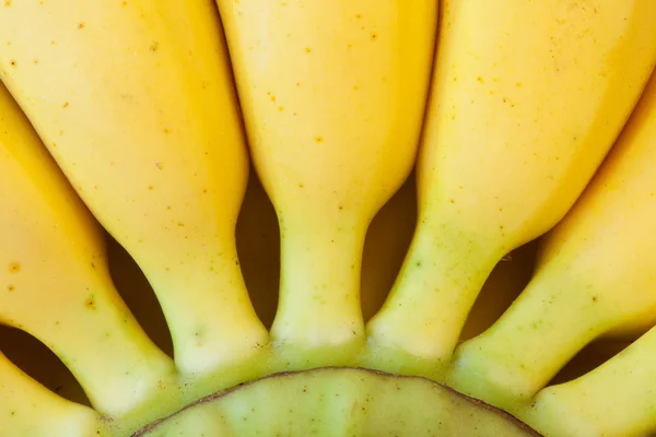 黄色のバナナ — ストック写真