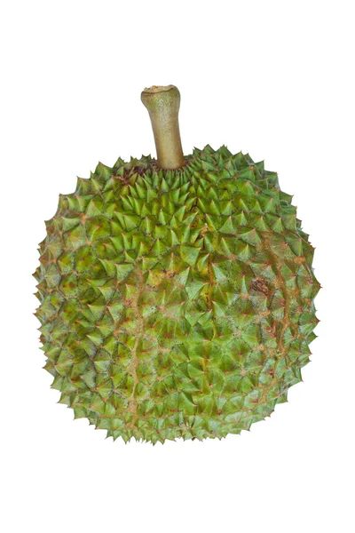 Durian — Stock fotografie