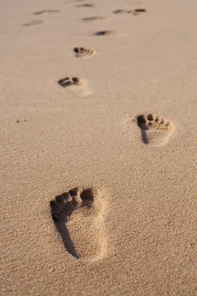 海滩沙滩上的脚印 — 图库照片