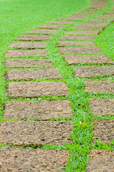 Kamienna ścieżka ogrodowa z trawą — Zdjęcie stockowe