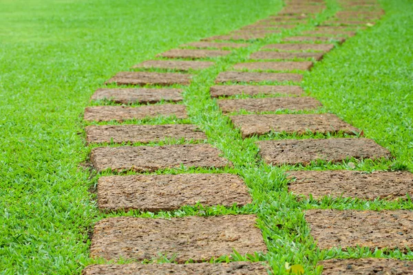Chemin de pierre de jardin avec herbe — Photo