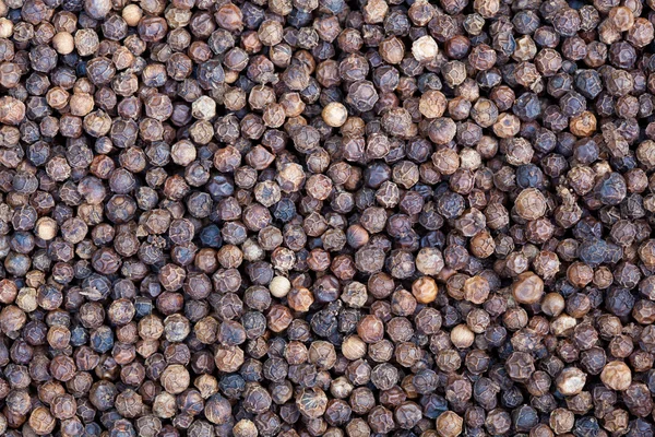 Zwarte peper — Stockfoto