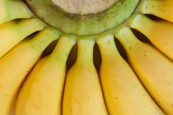 Μεγέθυνση του στη δέσμη των κίτρινων μπανανών — Φωτογραφία Αρχείου