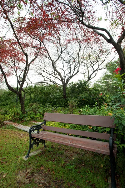 Bench in park with red flower tree — Stock Photo, Image