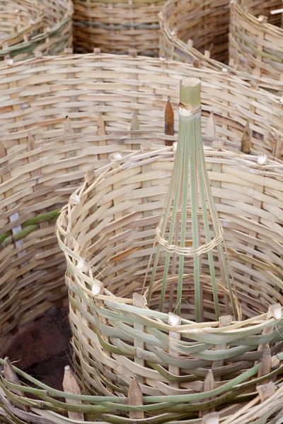 Sztuka wikliny bambusa — Zdjęcie stockowe
