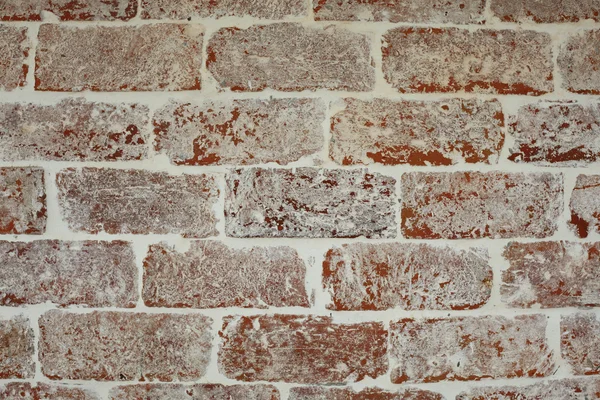 レンガの壁の背景 — ストック写真